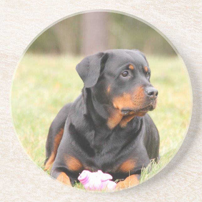 Rottweiler Hund Underlägg Sandsten (Framsidan)