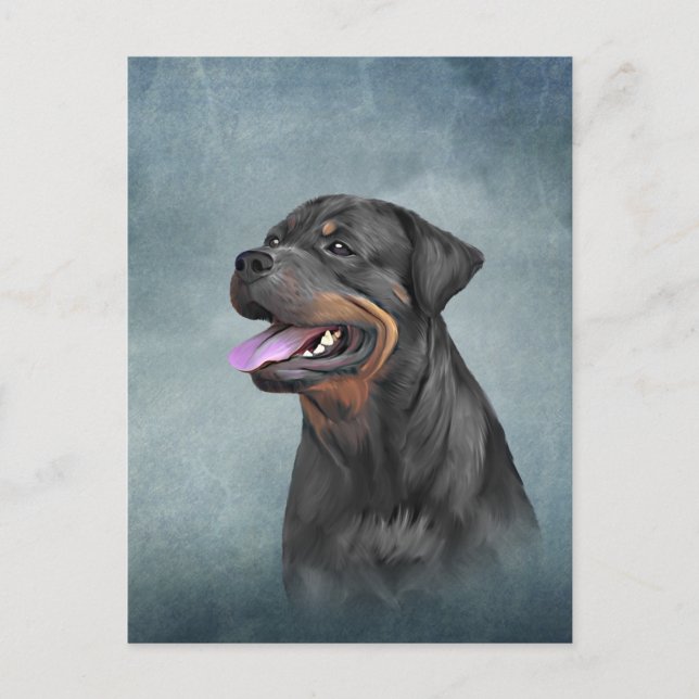 Rottweiler hund vykort (Framsida)