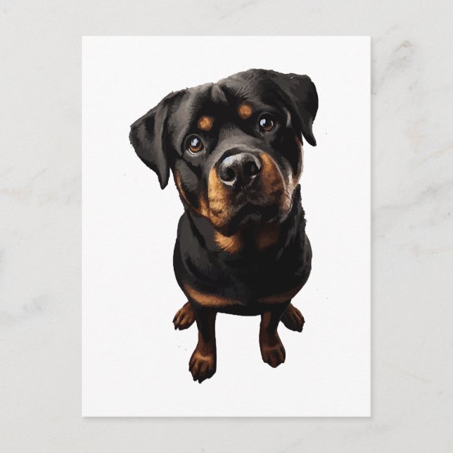 rottweiler hund vykort (Framsida)
