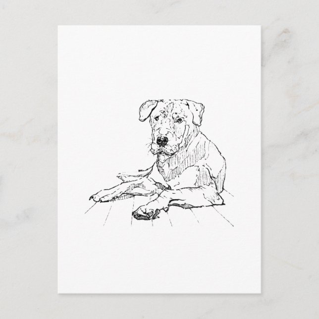 Rottweiler Hundälskare Minimalistisk Illustration Vykort (Framsida)