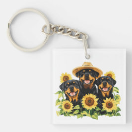 Rottweiler Hundar, omringad av solblommor