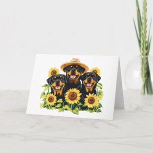 Rottweiler Hundar, omringad av solblommor Kort