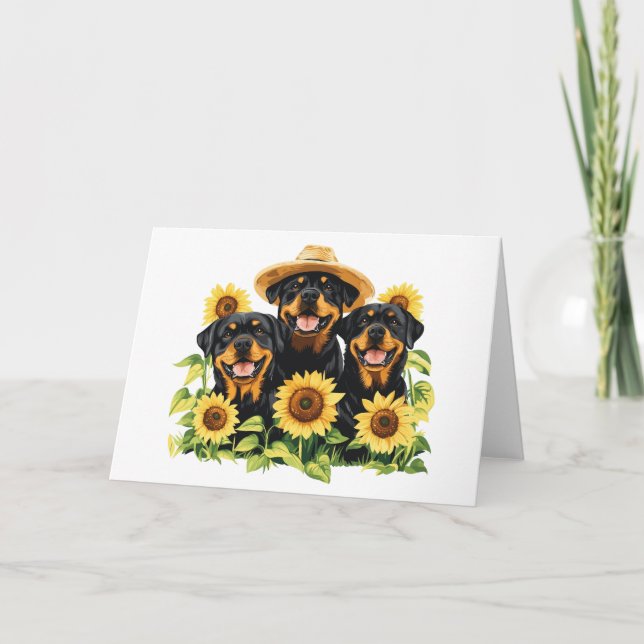 Rottweiler Hundar, omringad av solblommor Kort (Framsida)