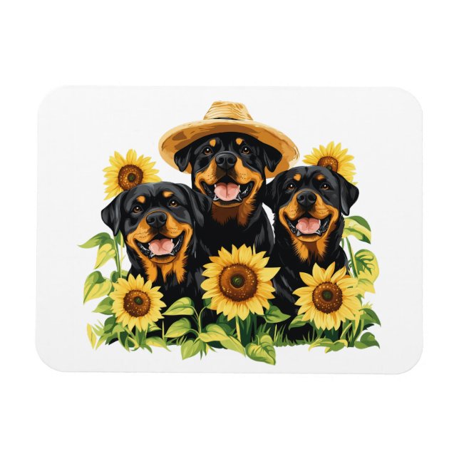 Rottweiler Hundar, omringad av solblommor Magnet (Horisontell)