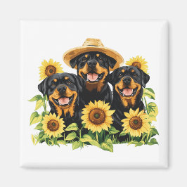 Rottweiler Hundar, omringad av solblommor Magnet