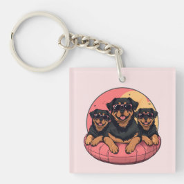 Rottweiler Hundar Sommar Bassäng