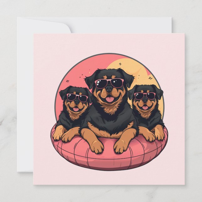 Rottweiler Hundar Sommar Bassäng (Framsida)