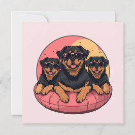 Rottweiler Hundar Sommar Bassäng