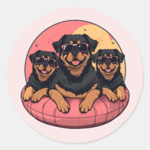 Rottweiler Hundar Sommar Bassäng Runt Klistermärke