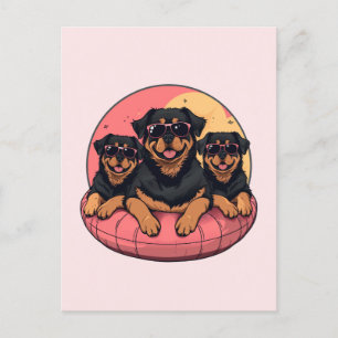 Rottweiler Hundar Sommar Bassäng Vykort