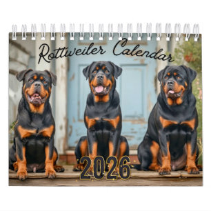 Rottweiler Hundar Väggkalender 2026 Kalender