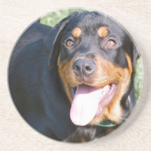 Rottweiler hundunderlägg underlägg