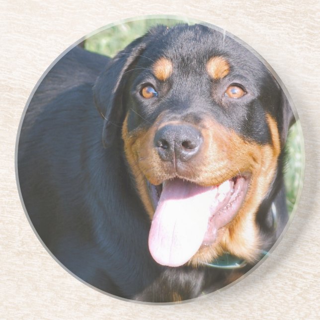 Rottweiler hundunderlägg underlägg (Framsidan)