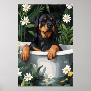 Rottweiler i badkar Affisch, Rolig hundaffisch Poster