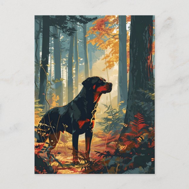 Rottweiler i en skog under solnedgång vykort (Framsida)