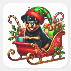 Rottweiler i julklapp Sleigh Fyrkantigt Klistermärke