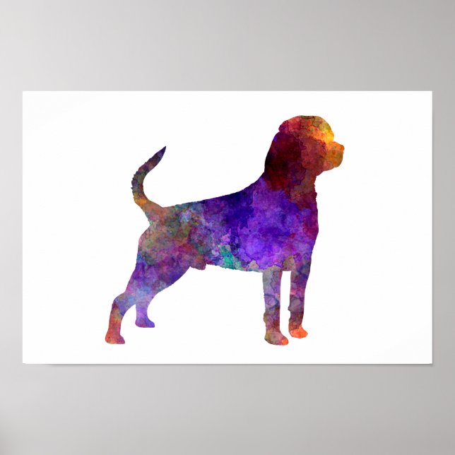 Rottweiler i vattenfärg poster (Framsidan)