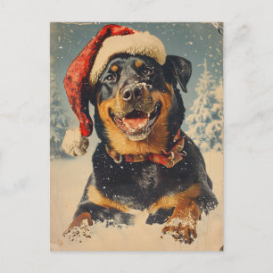 Rottweiler-jul Vykort