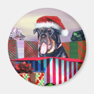 Rottweiler-julen - överraskning magnet