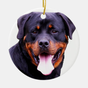 rottweiler julgransprydnad keramik