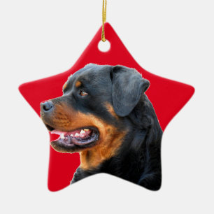 Rottweiler Julgransprydnad Keramik