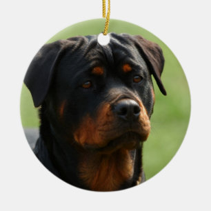 Rottweiler Julgransprydnad Keramik