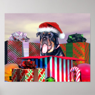 Rottweiler-julhelgen - överraskning poster