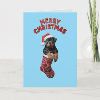 Rottweiler-julklapp. Kort