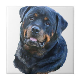 Rottweiler Kakelplatta