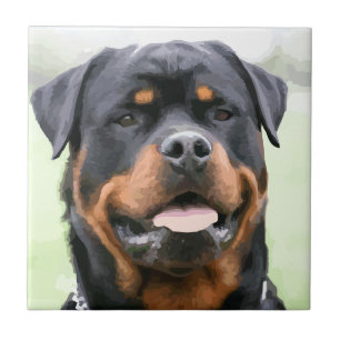 rottweiler kakelplatta
