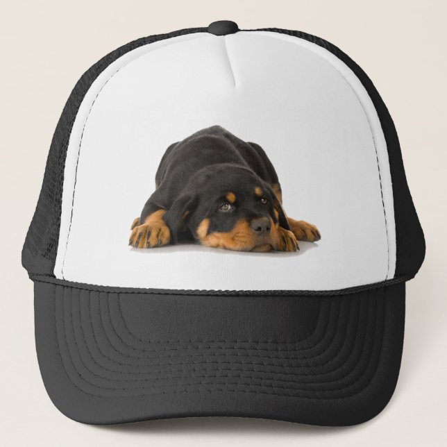 Rottweiler Keps (Framsida)