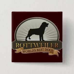 Rottweiler Knapp