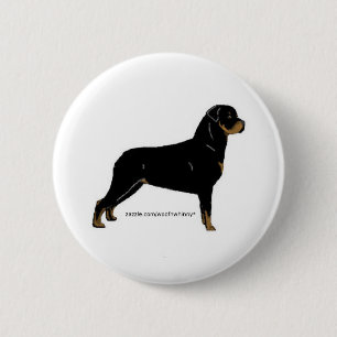 Rottweiler Knapp
