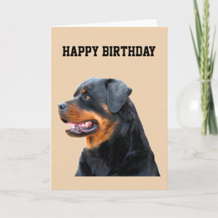 Rottweiler Kort
