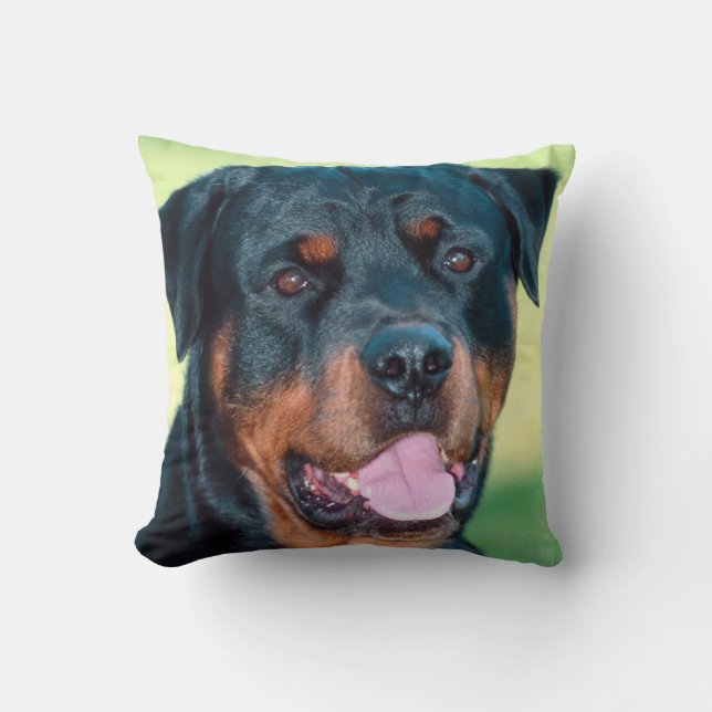 Rottweiler Kudde (Framsida)