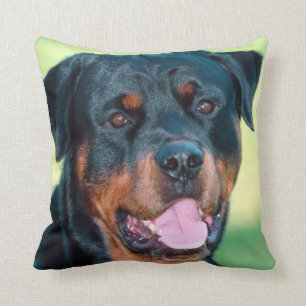 Rottweiler Kudde