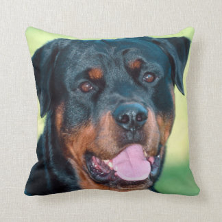 Rottweiler Kudde