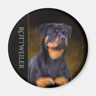 Rottweiler kylmagnet magnet