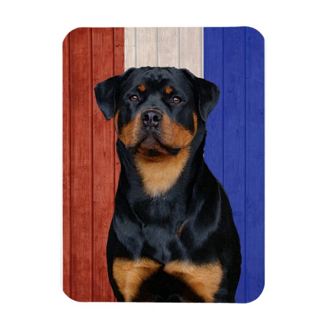 Rottweiler Magnet (Vertikal)