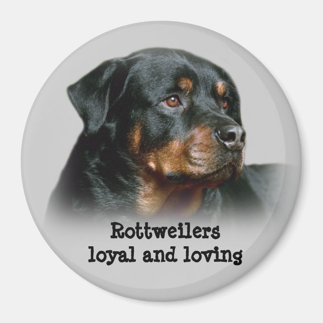 Rottweiler Magnet (Framsidan)