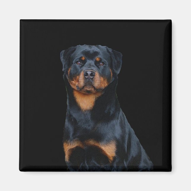 Rottweiler Magnet (Framsidan)