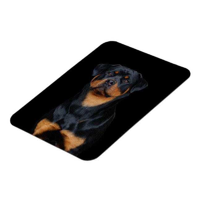 Rottweiler Magnet (Vänstra Sidan)