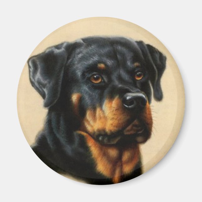 Rottweiler Magnet (Framsidan)