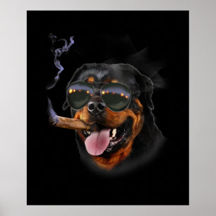Rottweiler med grindavskiljare av cigarr poster