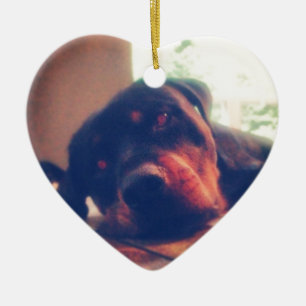 Rottweiler minnen julgransprydnad keramik