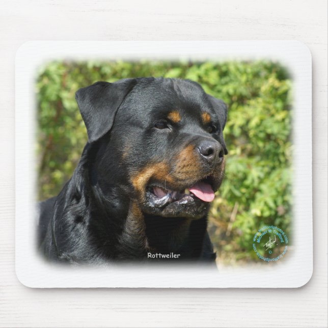 Rottweiler Musmatta (Framsidan)