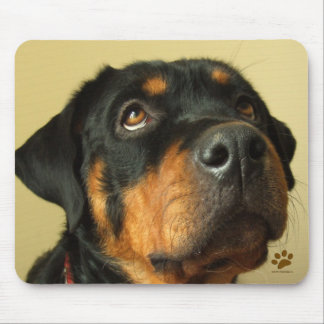 Rottweiler Musmatta