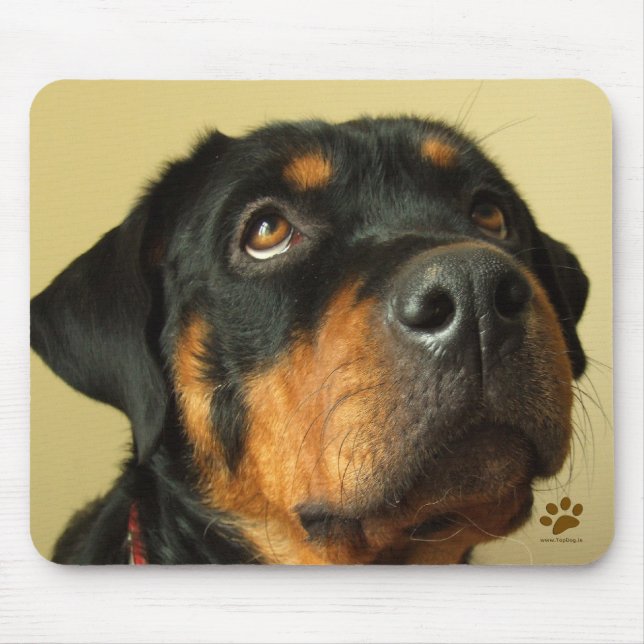 Rottweiler Musmatta (Framsidan)