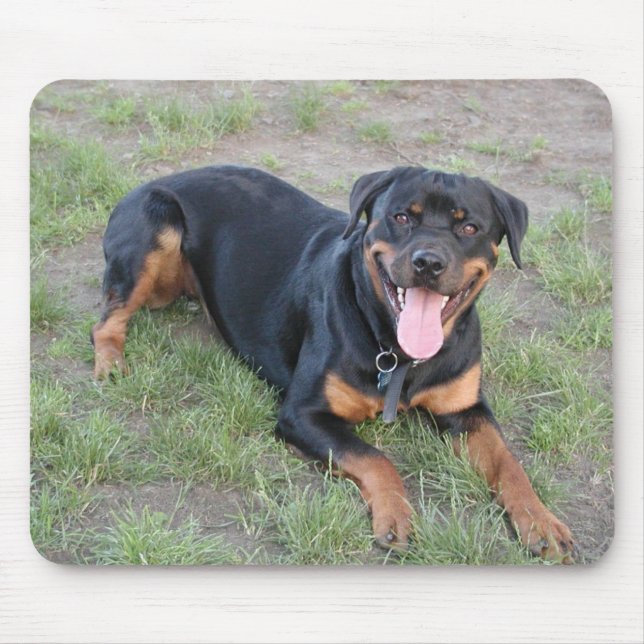 Rottweiler Musmatta (Framsidan)