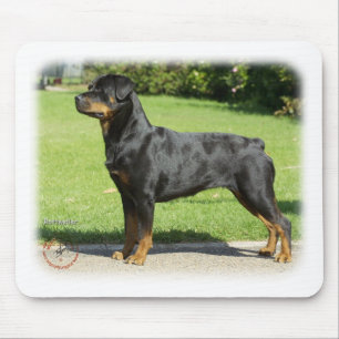Rottweiler Musmatta